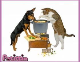 Kedi ve Köpeklerde Barf Beslenme